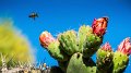 P1180738 2-1